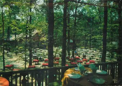 Romania Pitesti restaurantul "Cornul Vanatorului" Trivale