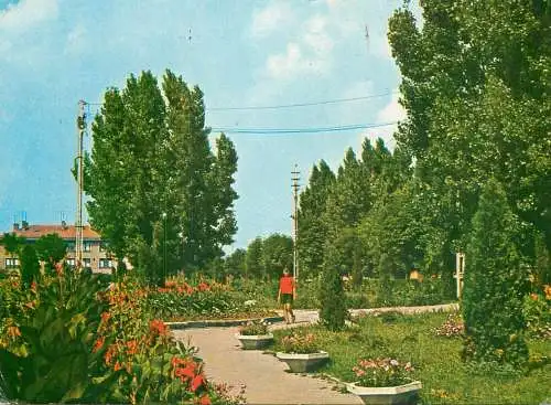 Romania Videle vedere din parc