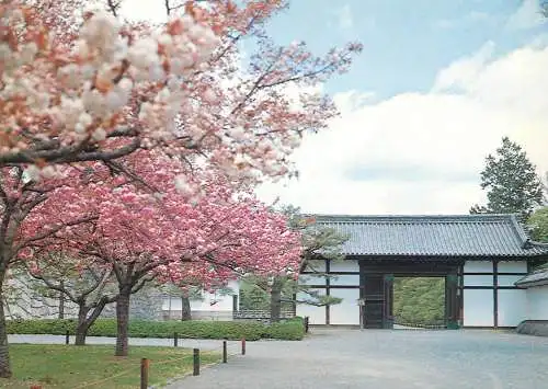 Japan Kyoto Momoyama gate Nijo castle