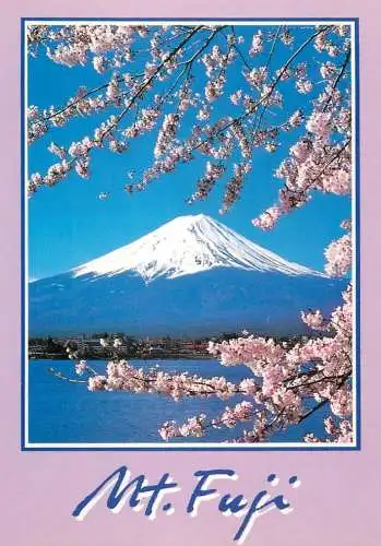 Japan Mt. Fuji and Cherry Blossoms