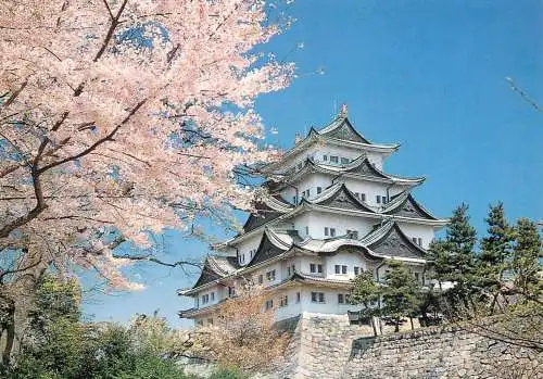 Japan Nagoya castle