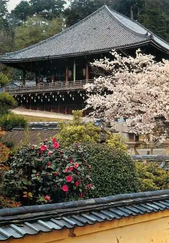 Japan Nigatsudo temple in spring