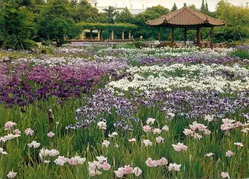 Japan Osaka Jyohoku park
