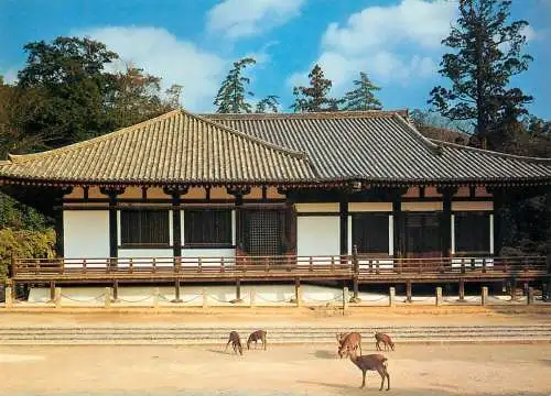 Japan National Treasure Hokkedo temple