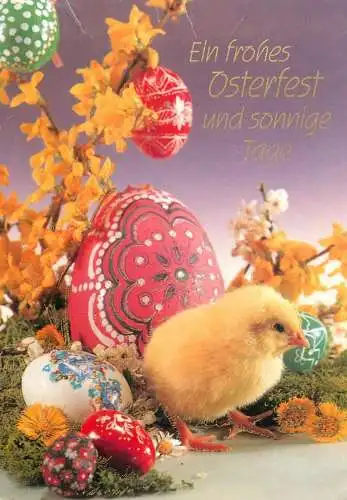 Easter greetings chick & pencilled decorated eggs