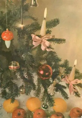Christmas greetings decorated fir tree detail view & apples, oranges