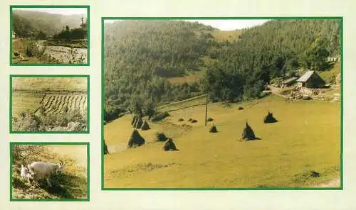 Romania Valea Ierii jud. Cluj Pensiune Cetina multi view
