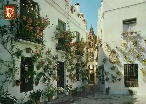 Spain Cordoba Calleja y Plaza de las Flores