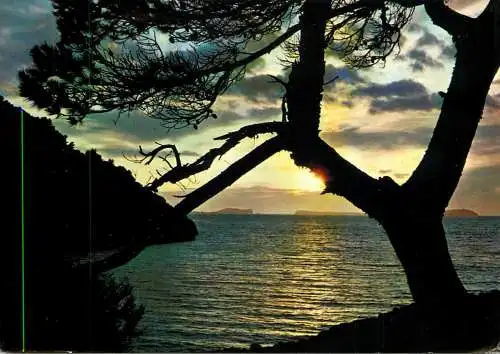 Spain Costa del Sol sunrise view