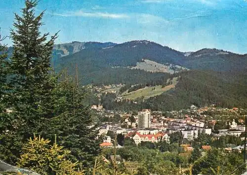 Romania Campulung-Moldovenesc vedere panoramica