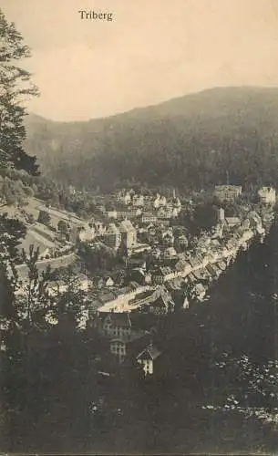 Germany Triberg panoramic view
