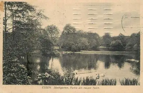 Germany Essen Stadtgarten Partie am neuen Teich