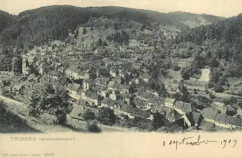 Germany Triberg Schwarzwald vintage photo 1909 panoramic view
