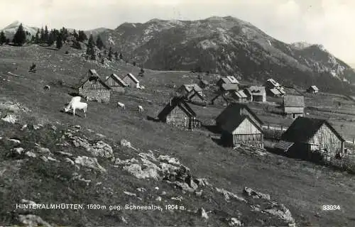 Austria Hinteralmhutten Schneealpe stempel