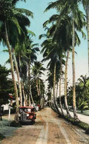 Cameroon Douala allee des Cocotiers