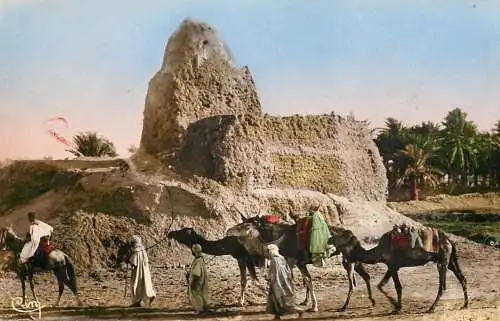 Morocco un Marabout camel caravan bedouin