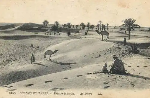 Africa scenes et types paysage Saharien au desert camel and bedouin
