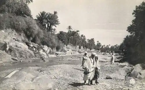 Algiers North Africa