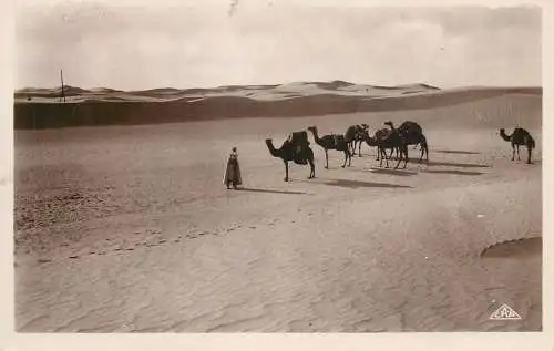 Algiers Algerie paysage desertique camel caravan bedouins