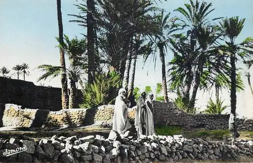 Algerie oasis