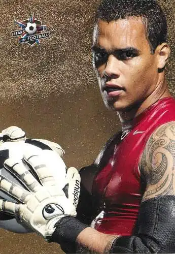 Stars of football pictorial card printed signature 07 Airborn Michel Vorm