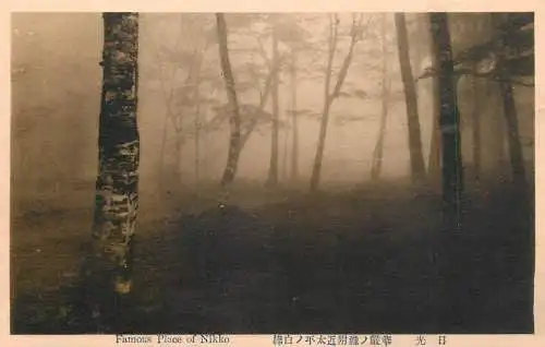 Japan famous place of Nikko forest scene