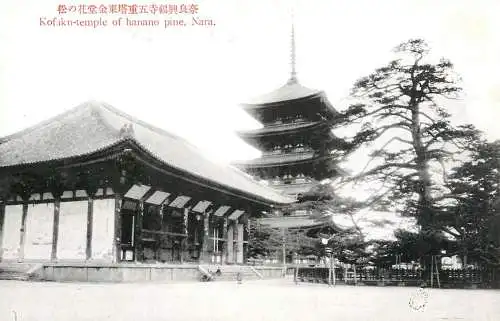Japan Nara Kofakn temple of hanano pine