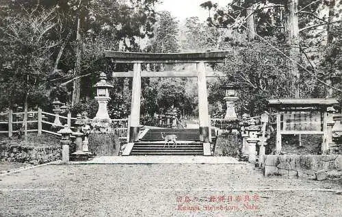 Japan Nara Shrine torii