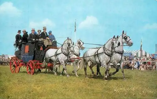 United Kingdom England in the show ring chariot