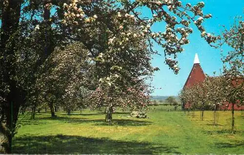 United Kingdom England Spring time in Kent