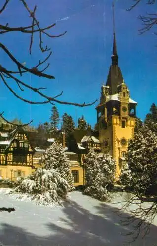 Romania Sinaia Muzeul Peles peisaj de iarna