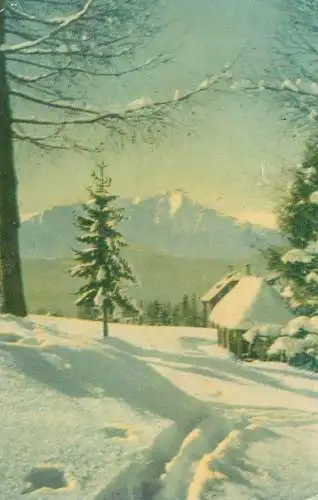 Romania Cabana in munti peisaj de iarna