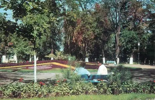Romania Braila Lacul Sarat vedere din parc