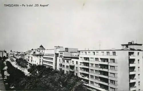 Romania Timisoara bulevard 23 August