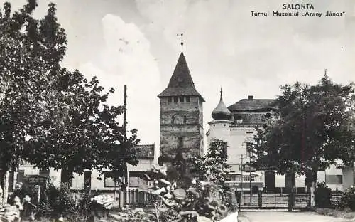 Romania Salonta Turnul muzeului Arany Janos