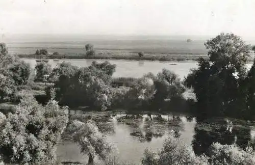 Romania Balta Brailei