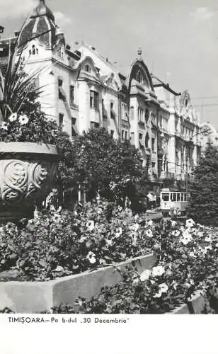Romania Timisoara bulevard 30 Decembrie