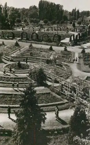 Romania Timisoara parc