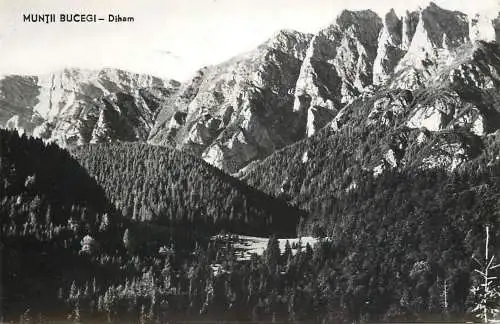 Romania Muntii Bucegi Diham