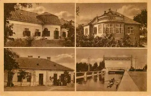 Hungary Udvozlet Tassrol