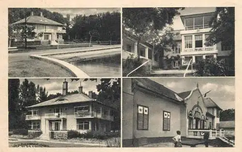 Hungary udvozlet Balaton