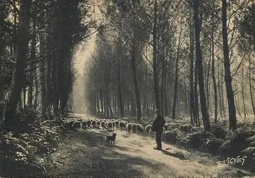 France en guyenne Gascogne