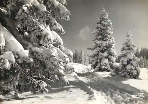 France vallee de Saint Bon Couchevel
