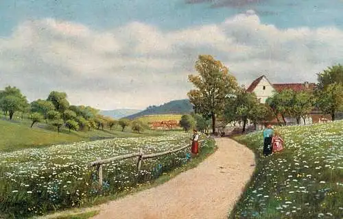 Germany P. hommel from nature flowering meadows