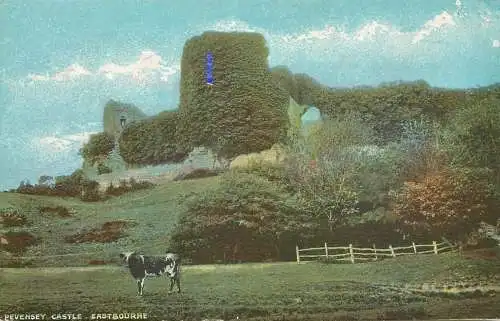 United Kingdom England Eastbourne Pevensey castle