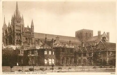 British abbeys, churches & cathedrals postcard Peterborough cathedral and Bishop's palace
