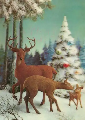 Deer family in the forest winter scenery illustration