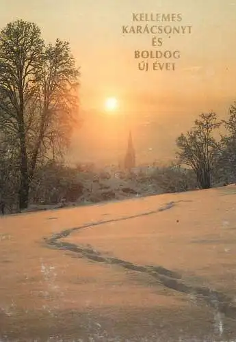 Winter Holidays greetings picturesque winter sunset