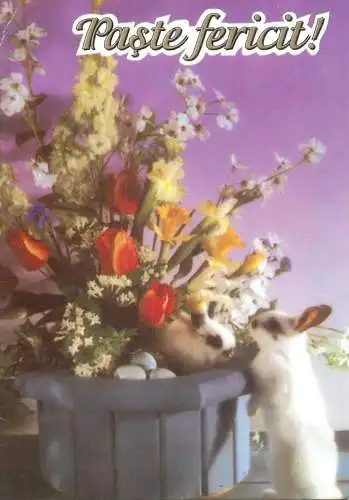 Easter greetings rabbits & colourful decorative floral arrangement