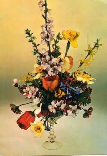 Colourful floral arrangement photo